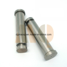 Precision Guide Lifter Punches for Mold Parts (MQ828)